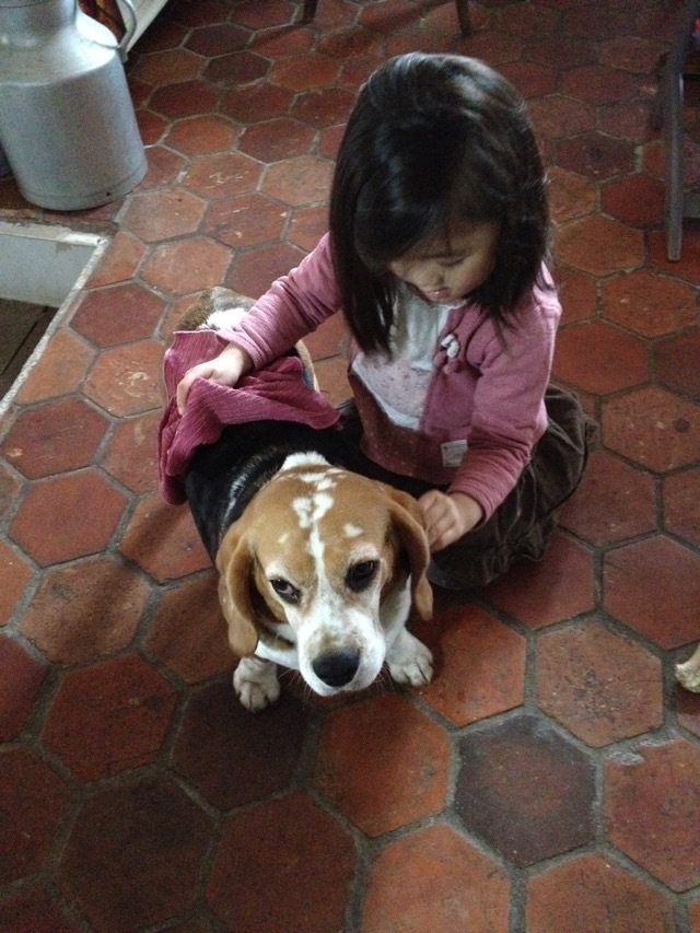 b0069848_06432213.jpeg