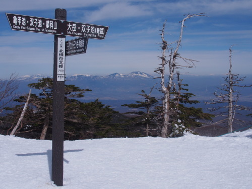 b0335256_13105594.jpg