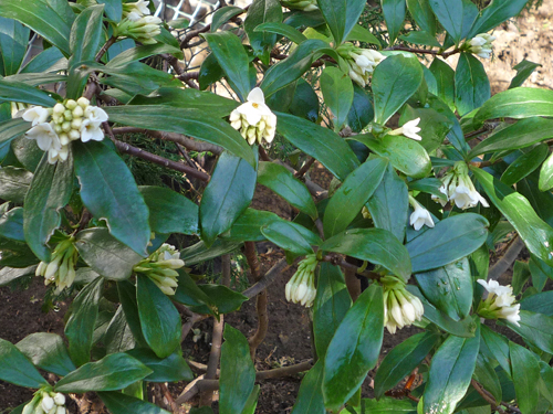b0045357_9163592.jpg