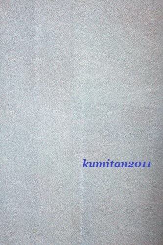 b0249661_19394700.jpg