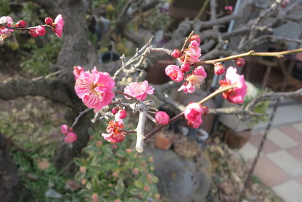 e0274772_1055155.jpg
