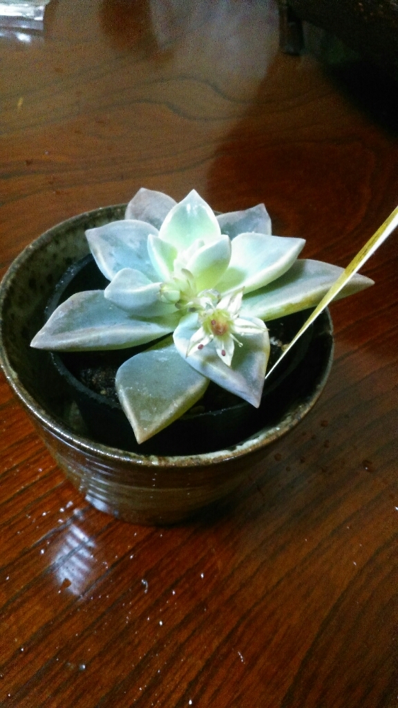 c0162773_00504091.jpg