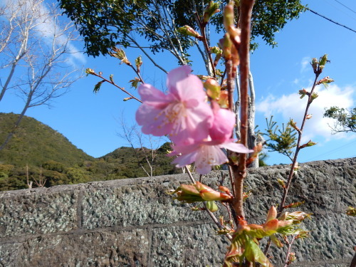 f0054677_09574751.jpg