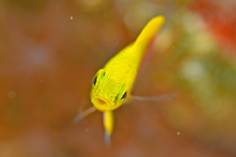 b0137083_2032480.jpg