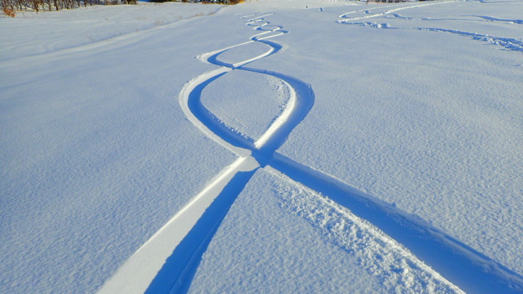 a0242984_00213784.jpg