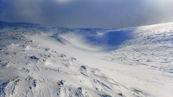 a0242984_11162538.jpg