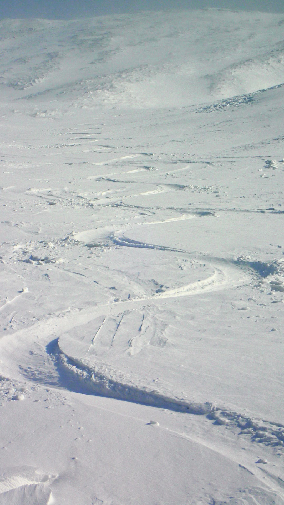 a0242984_11284946.jpg