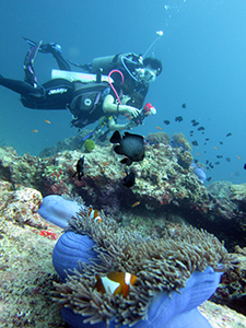 f0144385_21160960.jpg