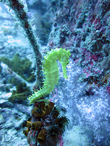 f0144385_21375403.jpg