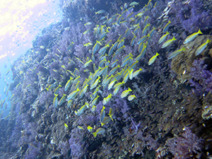 f0144385_21375425.jpg