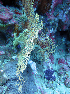 f0144385_21375563.jpg