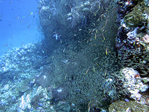 f0144385_21421940.jpg