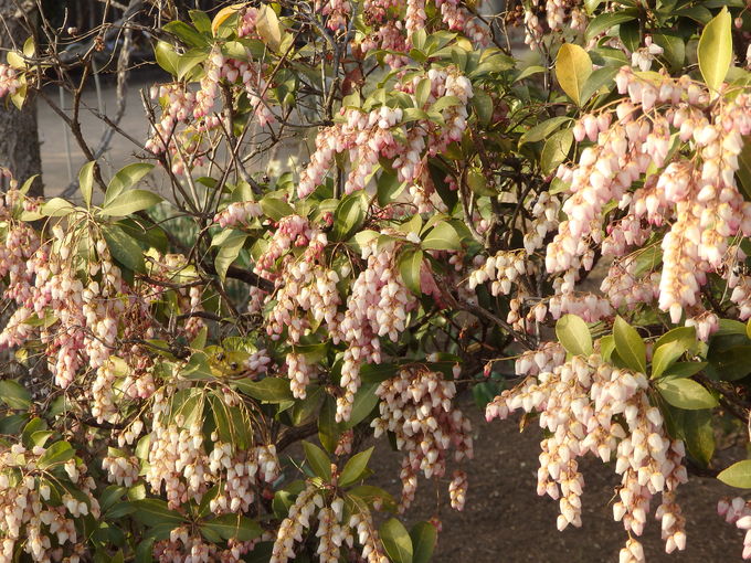 b0197486_8494217.jpg