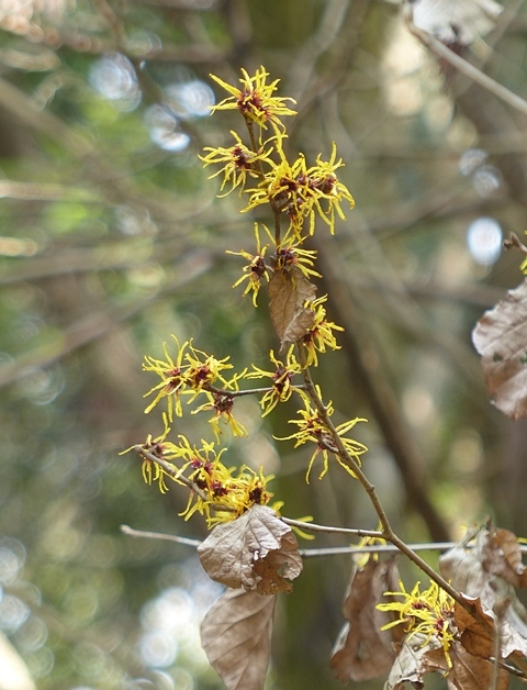 f0357487_22271068.jpg