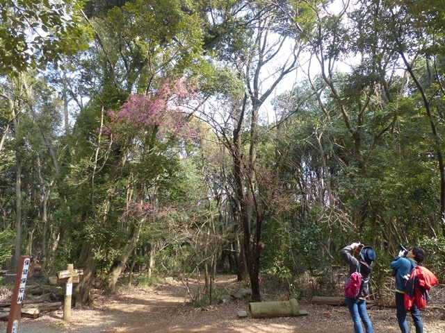 f0357487_22442911.jpg