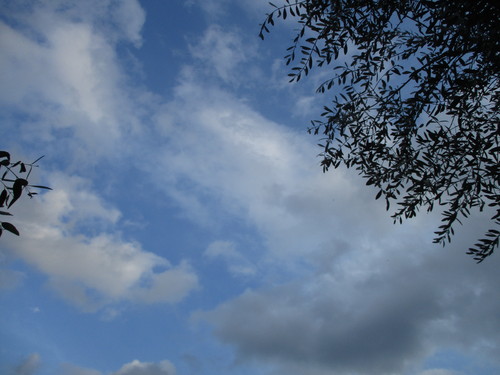 d0333091_18484281.jpg