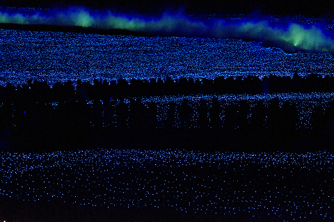 e0376691_21553481.jpg
