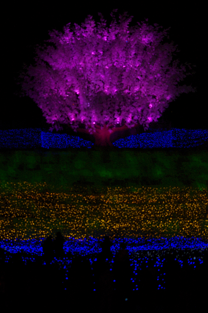 e0376691_22074425.jpg