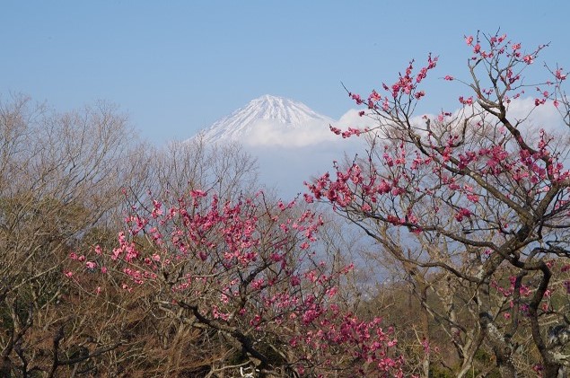 e0376691_22163240.jpg