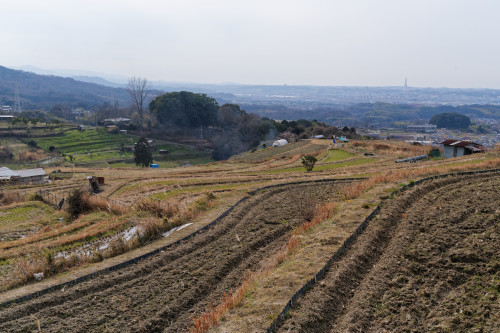 e0366896_22540729.jpg
