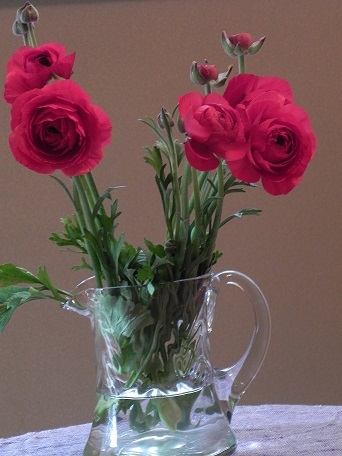 c0152002_10201273.jpg
