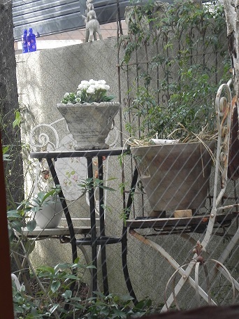 c0152002_10210836.jpg