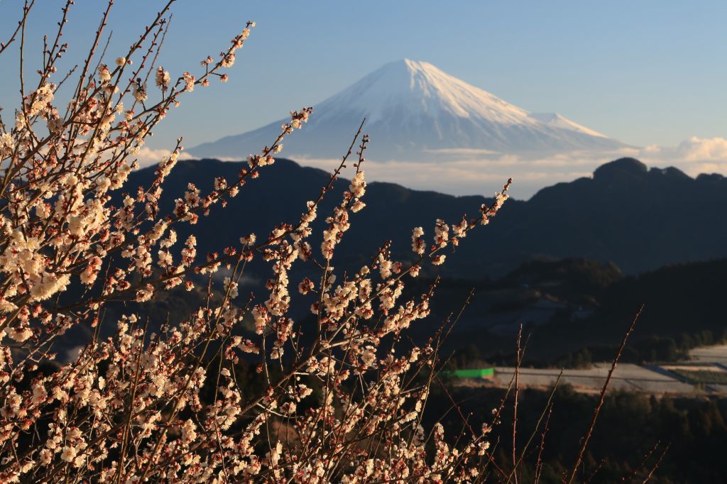 a0188405_21062122.jpg