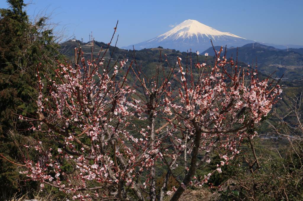 a0188405_21064765.jpg