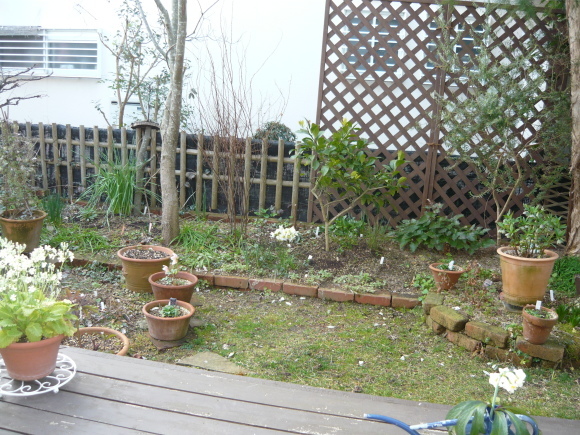 a0139007_10514914.jpg