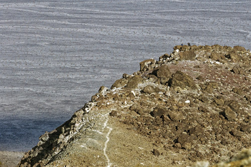 c0148812_7313577.jpg