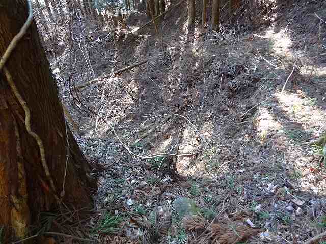 a0243317_10203326.jpg