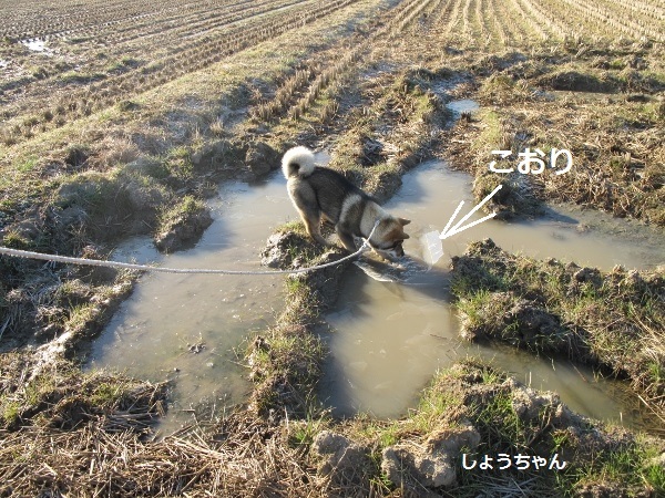 f0143123_10002502.jpg