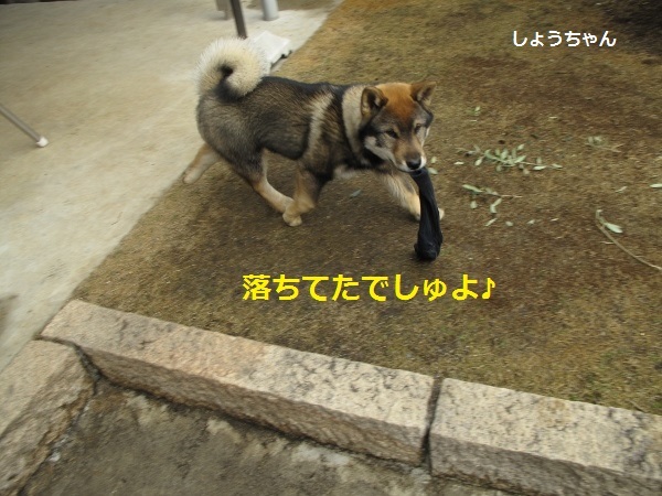 f0143123_10105667.jpg