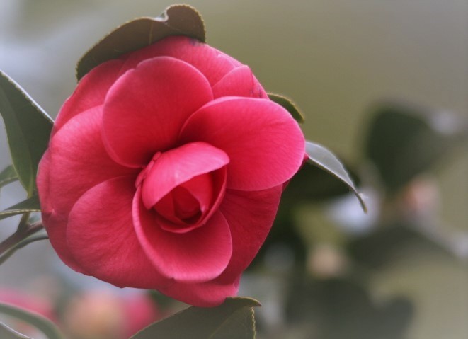 f0354923_00375403.jpg