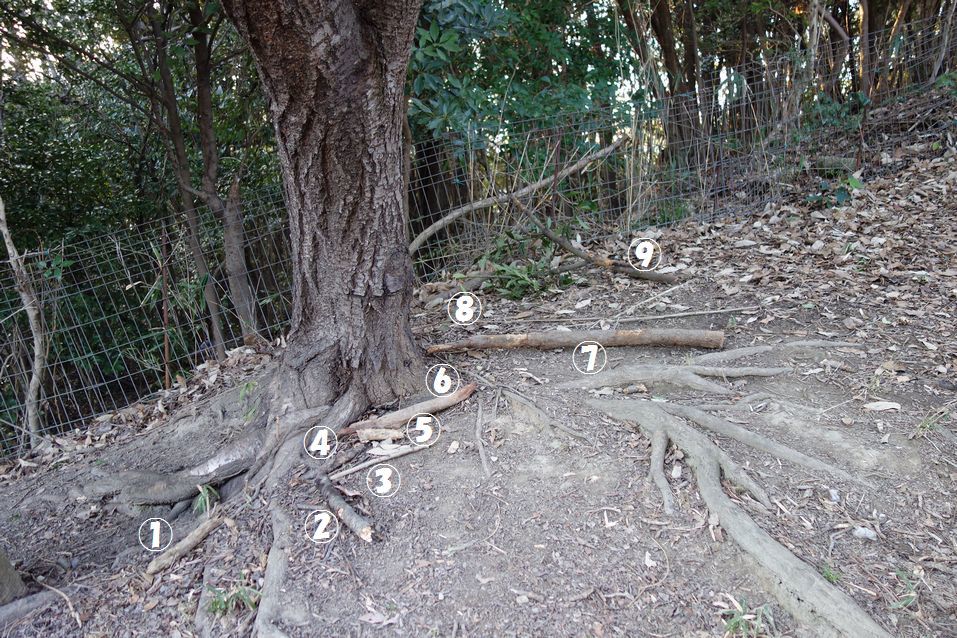 f0088731_02002204.jpg
