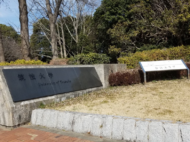 c0365734_22194148.jpg