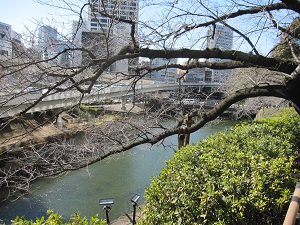 e0090555_22522440.jpg