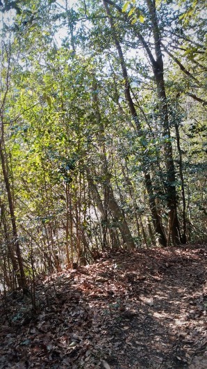 f0338156_20515583.jpg