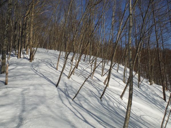 c0294658_19223877.jpg