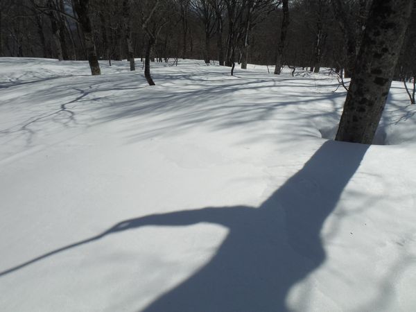 c0294658_19251673.jpg