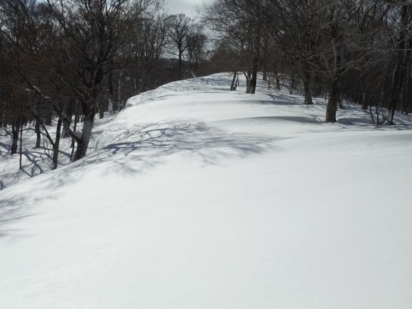 c0294658_21281071.jpg