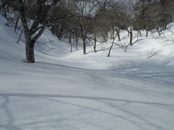 c0294658_21332783.jpg