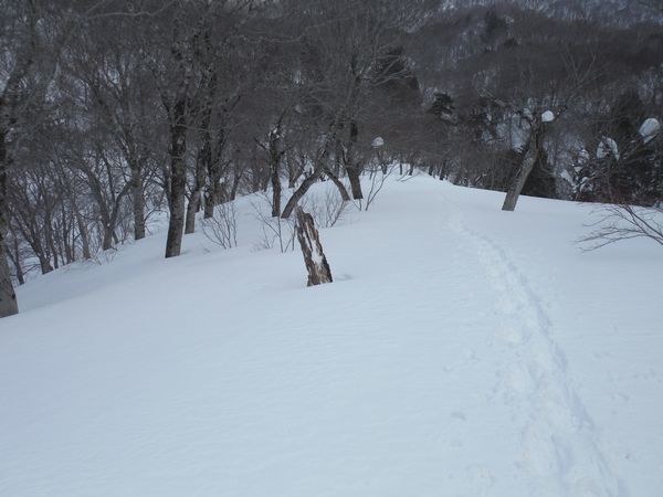 c0294658_21395179.jpg