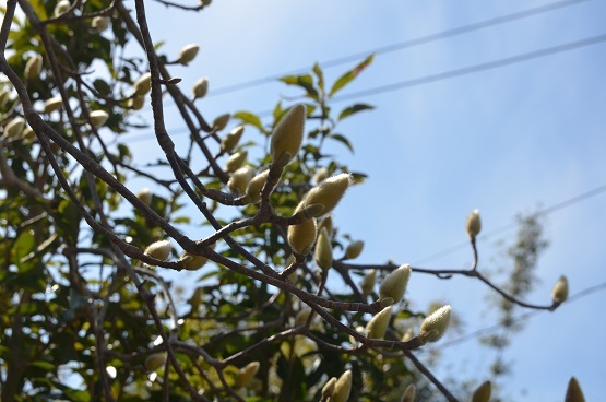 f0186462_00003175.jpg