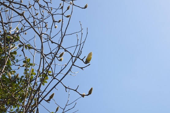 f0186462_00003595.jpg