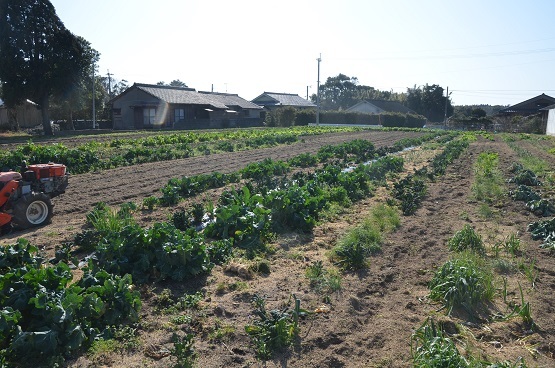 f0186462_00010083.jpg