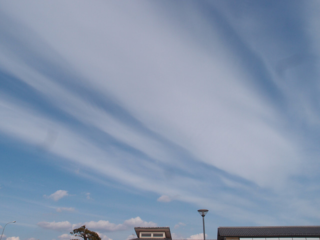 b0006870_19315898.jpg