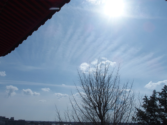 b0006870_1931878.jpg