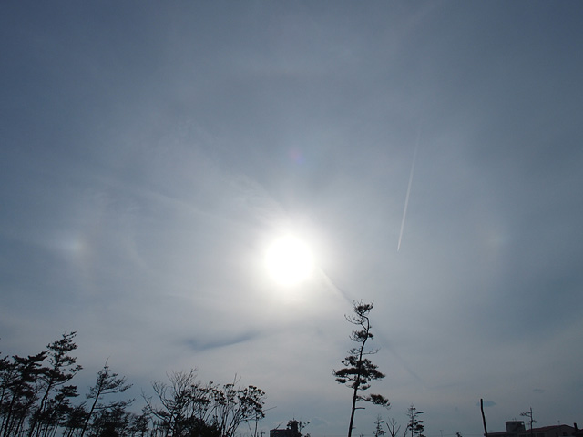 b0006870_19423252.jpg