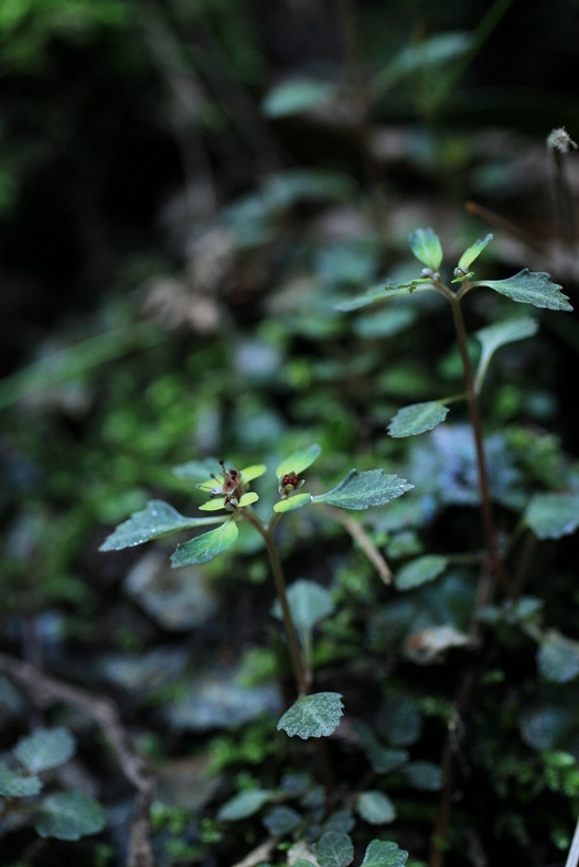 e0304170_21414277.jpg